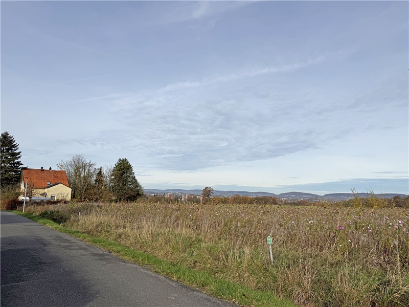 Altbestand in einmaliger Lage mit Weitsicht zum Wiehengebirge
